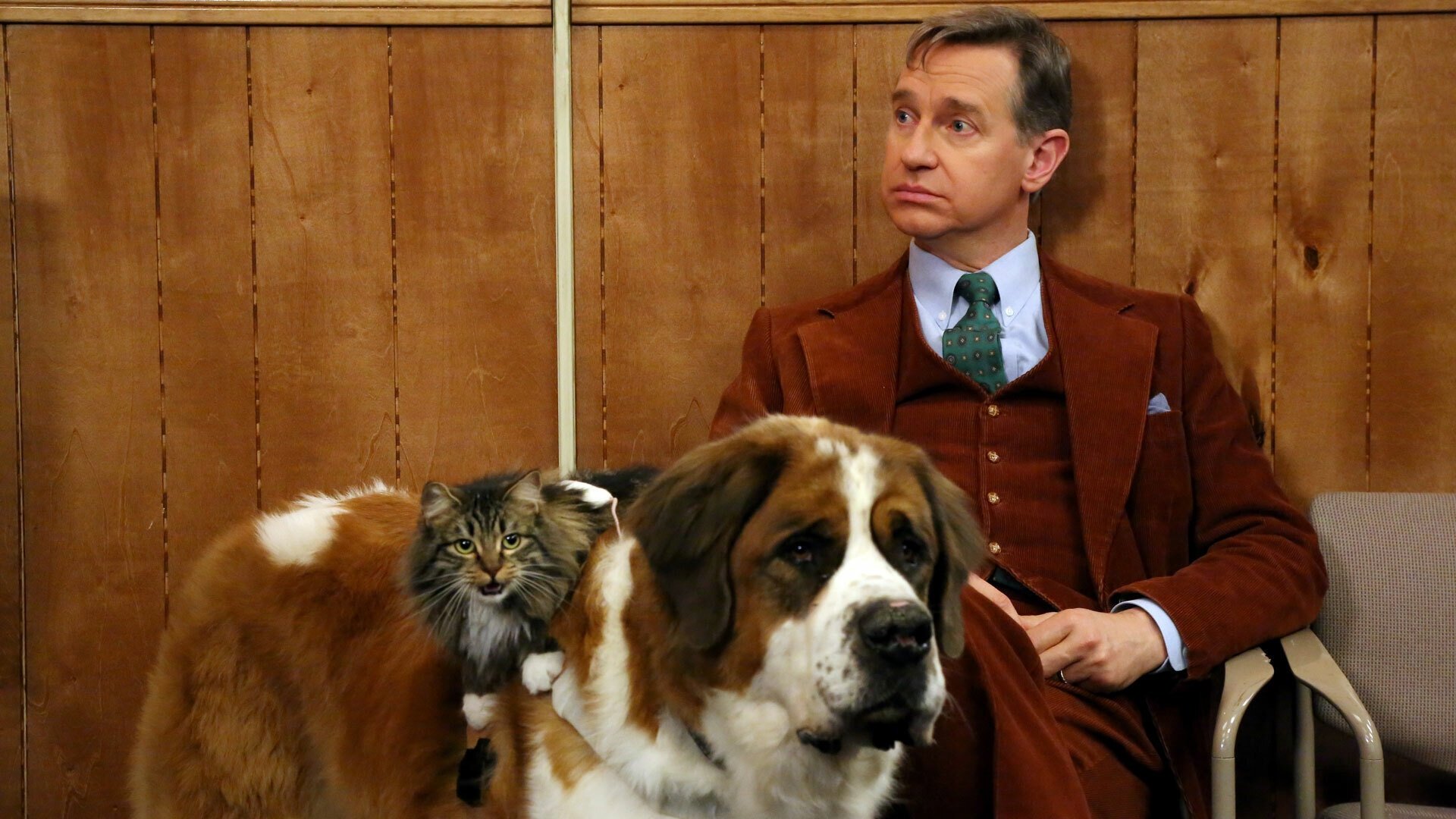 Сезон 9 Серия 19